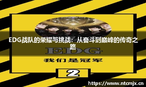 奇异果qyg网页版