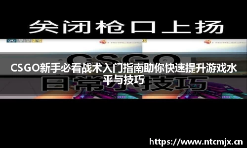 CSGO新手必看战术入门指南助你快速提升游戏水平与技巧