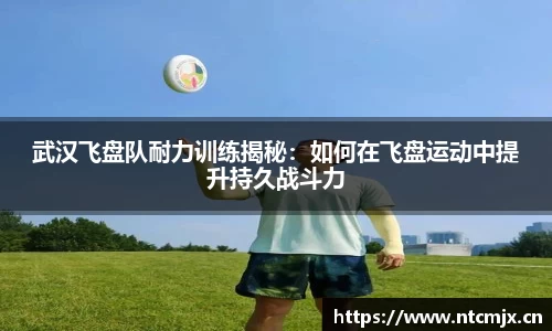 武汉飞盘队耐力训练揭秘：如何在飞盘运动中提升持久战斗力
